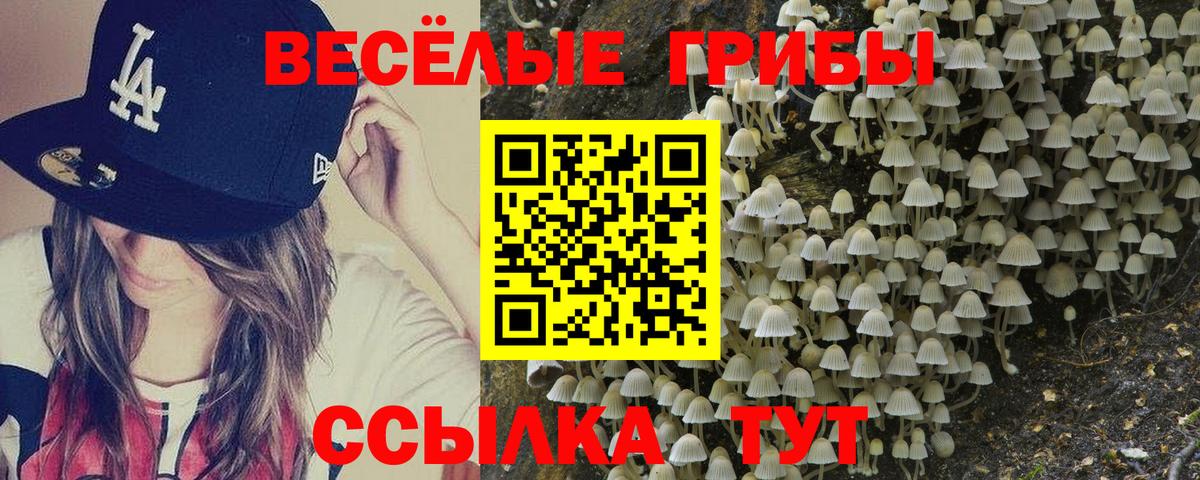 Галлюциногенные грибы мухоморы  купить закладку  Удомля  Вход с VPN 